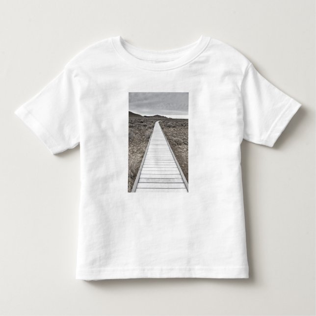 Boardwalk through the desert toddler t-shirt (Front)