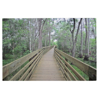 Boardwalk Through the Woods created as Metal Print