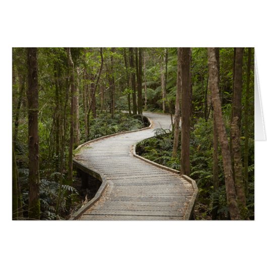 Boardwalk to Nelson Falls, Franklin - Gordon (Front Horizontal)