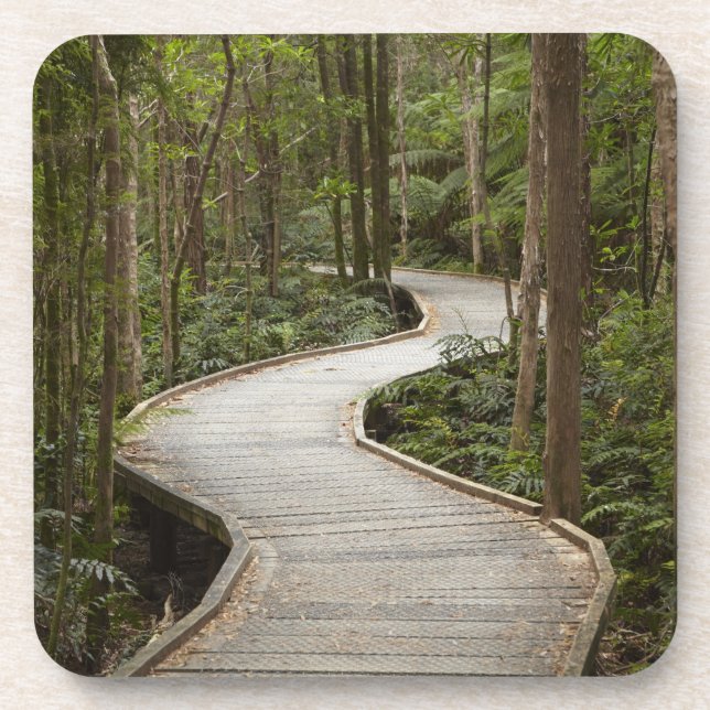 Boardwalk to Nelson Falls, Franklin - Gordon Coaster (Front)
