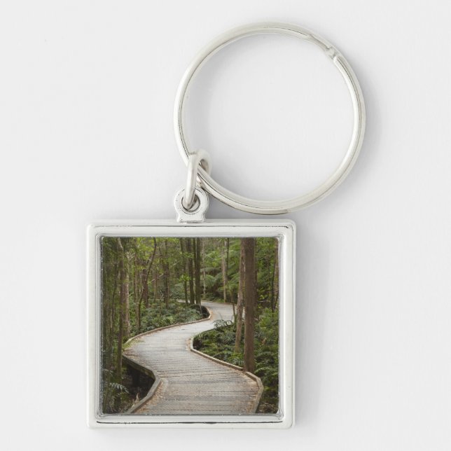 Boardwalk to Nelson Falls, Franklin - Gordon Keychain (Front)