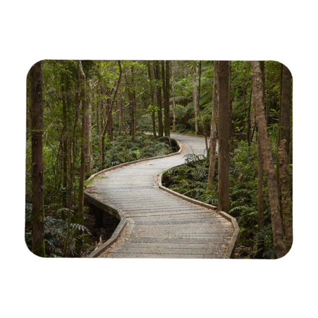 Boardwalk to Nelson Falls, Franklin - Gordon Magnet (Horizontal)