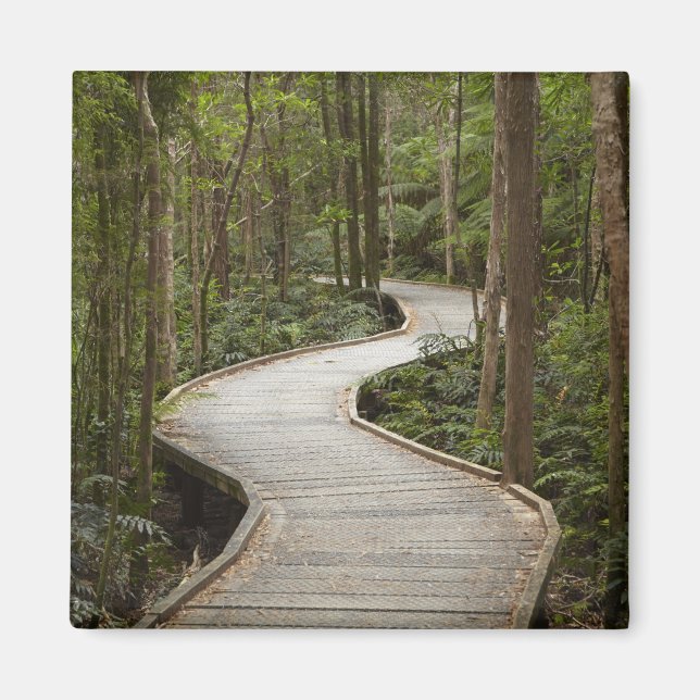 Boardwalk to Nelson Falls, Franklin - Gordon Magnet (Front)