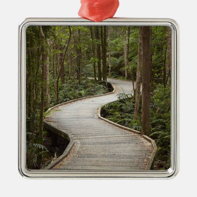 Boardwalk to Nelson Falls, Franklin - Gordon Metal Ornament (Front)