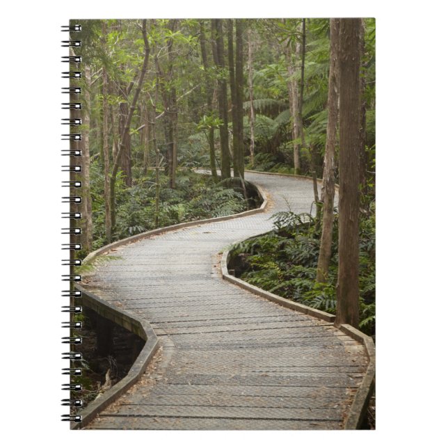 Boardwalk to Nelson Falls, Franklin - Gordon Notebook (Front)