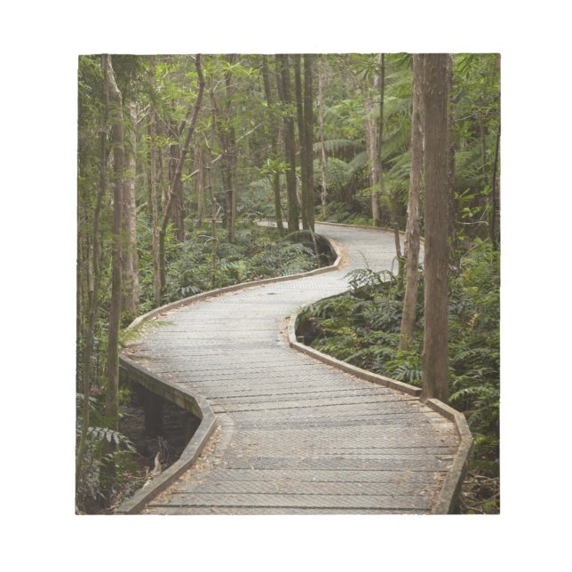 Boardwalk to Nelson Falls, Franklin - Gordon Notepad (Front)