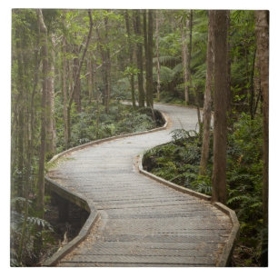 Boardwalk to Nelson Falls, Franklin - Gordon Tile