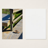 Boardwalk to the Beach (Front & Back)