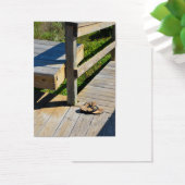 Boardwalk to the Beach (Desk)