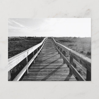 Boardwalk Walking Trail Florida  Postcard