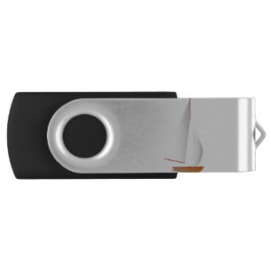 Boat 1 flash drive