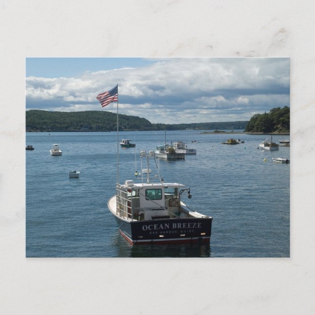 Boat in Bar Harbor Postcard (Front)