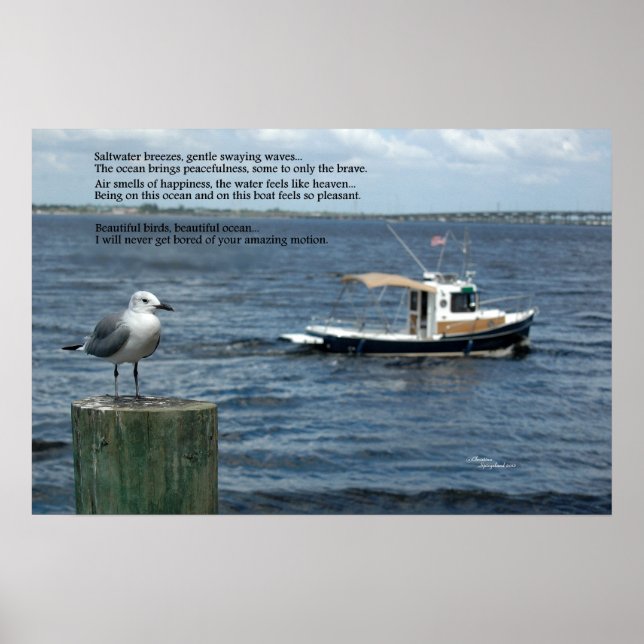 Boat ocean Seagull Poem Poetry Poster (Front)