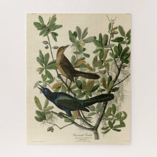 Boat-tailed Grackle - Audubon's Birds of America Jigsaw Puzzle