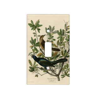 Boat-tailed Grackle - Audubon's Birds of America  Light Switch Cover