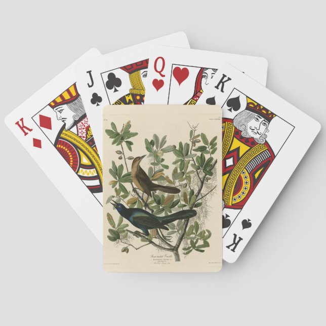 Boat-tailed Grackle - Audubon's Birds of America  Poker Cards (Back)