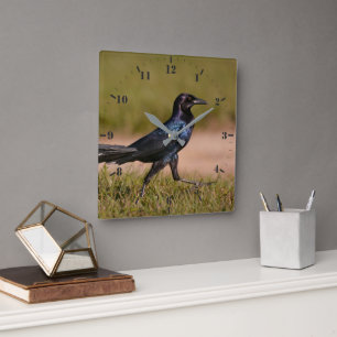 Boat-tailed Grackle Square Wall Clock