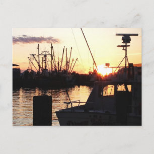 Boats at Sunset Postcard