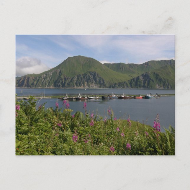 Boats at the spit in Dutch Harbor, Alaska Postcard (Front)