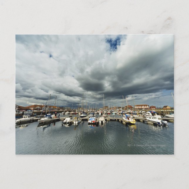 Boats In A Harbor Postcard (Front)