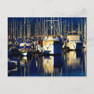 Boats in the Harbor Postcard