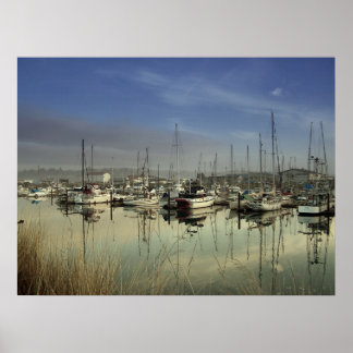 Boats In The Harbor Poster