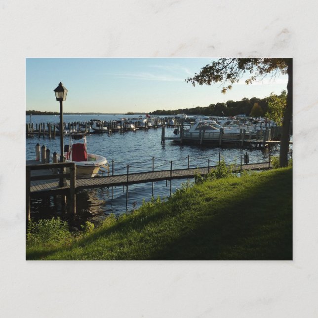 Boats in Wayzata Postcard (Front)