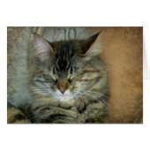 Bob (Front Horizontal)