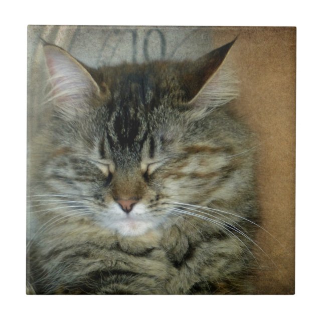 Bob Ceramic Tile (Front)