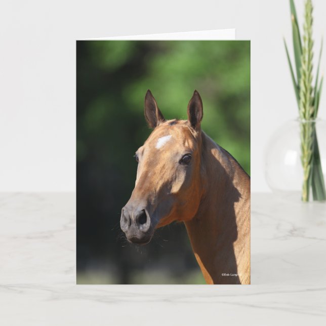 Bob Langrish | Akhal Teke Headshot Card (Front)