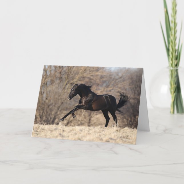 Bob Langrish | Andalucian Running Card (Front)