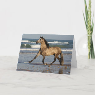 Bob Langrish Andalucian Stallion Running On Beach Card