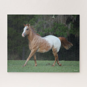 Bob Langrish Appaloosa Horse Running Jigsaw Puzzle