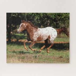 Bob Langrish Appaloosa Horse Running Jigsaw Puzzle