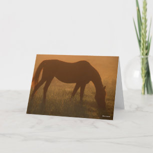 Bob Langrish Arab Grazing In The Mist Card