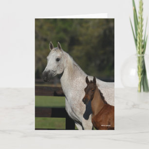 Bob Langrish Arab Mare and Foal headshot Card