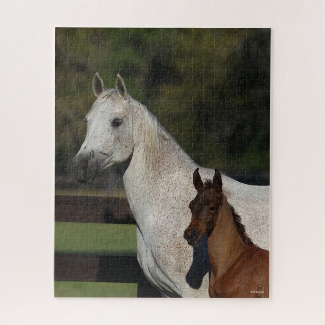 Bob Langrish | Arab Mare and Foal headshot Jigsaw Puzzle (Vertical)