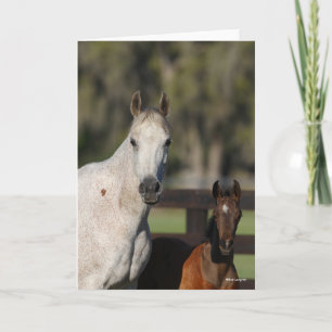 Bob Langrish Arab Mare and Foal Standing Headshot Card