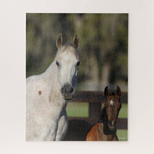 Bob Langrish Arab Mare and Foal Standing Headshot Jigsaw Puzzle (Vertical)