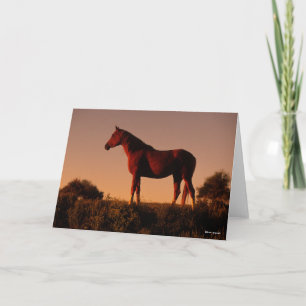 Bob Langrish Arab Standing In Sunset Card