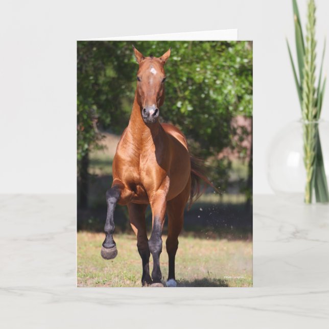 Bob Langrish | Bay Akhal Teke Standing Card (Front)