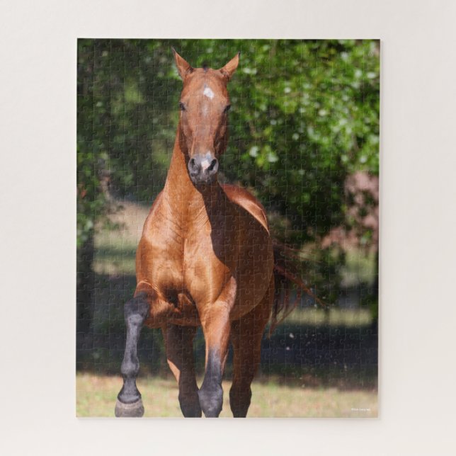 Bob Langrish | Bay Akhal Teke Standing Jigsaw Puzzle (Vertical)