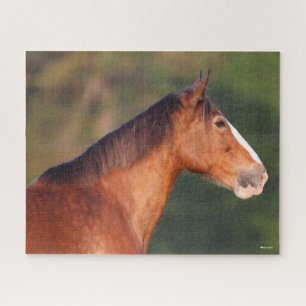 Bob Langrish Bay Clydesdale Headshot Jigsaw Puzzle