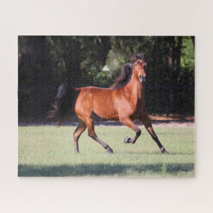 Bob Langrish Bay Tennessee Walker Running Jigsaw Puzzle