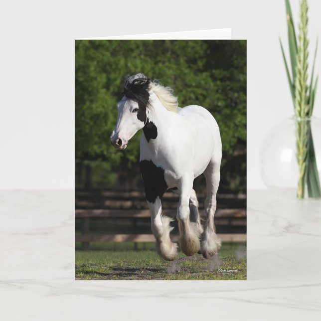 Bob Langrish Black and White Gypsy Vanner Running Card (Front)