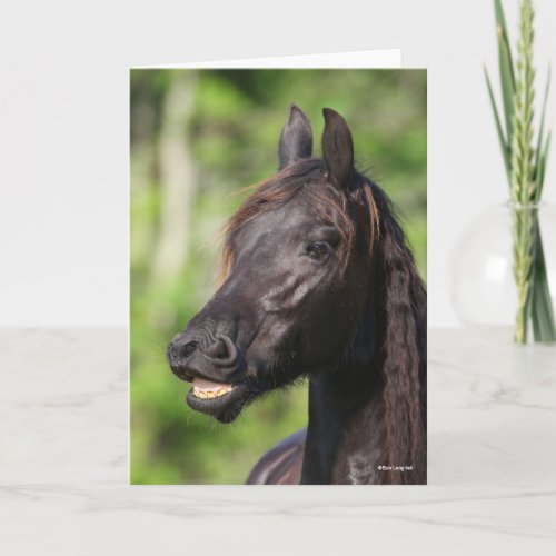 Bob Langrish  Black Friesian Flehmen Headshot Card