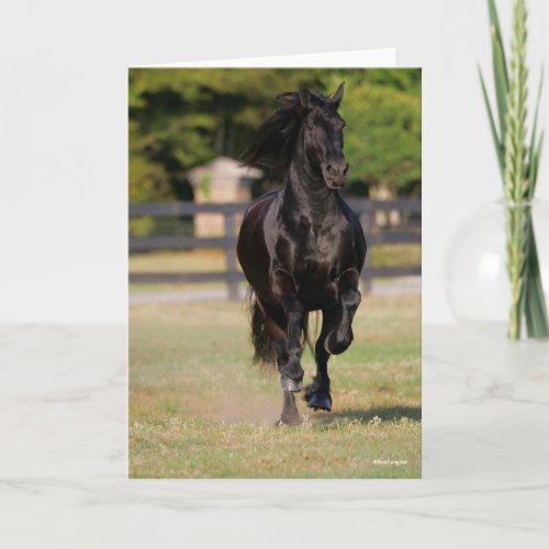 Bob Langrish  Black Friesian Horse Running Card