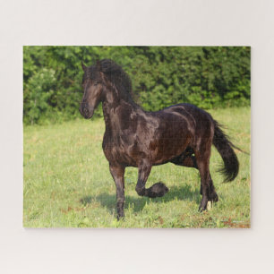 Bob Langrish Black Friesian Horse Running Jigsaw Puzzle