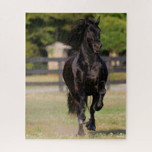 Bob Langrish Black Friesian Horse Running Jigsaw Puzzle