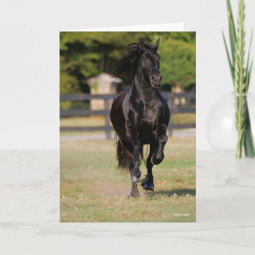 Bob Langrish  Black Friesian Mare Running Card